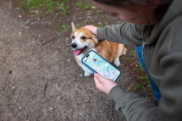 pet-gps-tracker-realtime-location