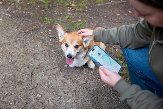 voice seeking pet GPS tracker cover image