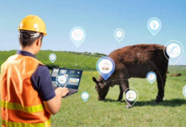 outdoor GNSS accuracy livestock tracker