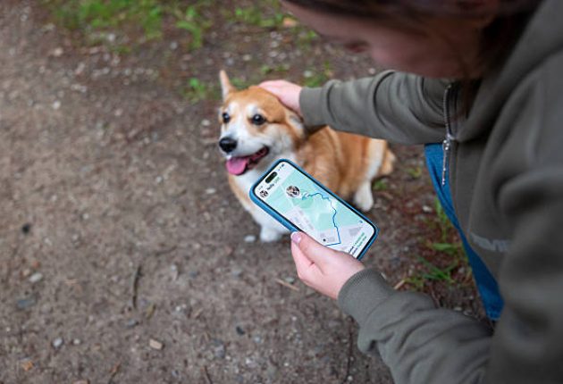pet-gps-tracker-realtime-location
